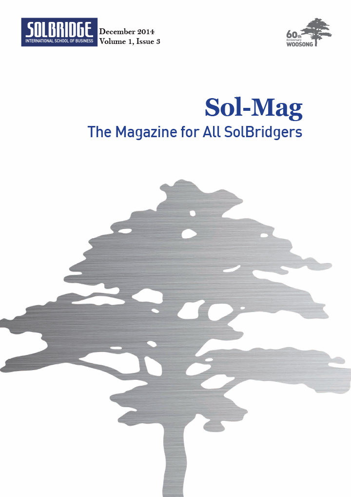 Sol-Mag03